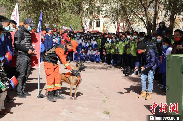 圖為搜救犬服從和箱體搜救演練。　趙琳 攝