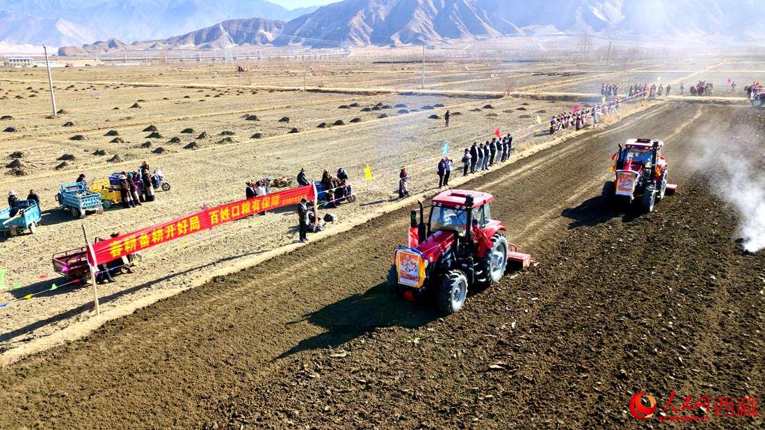 山南市扎囊縣扎其鄉(xiāng)孟卡榮村迎來春耕第一犁。人民網(wǎng) 次仁羅布攝