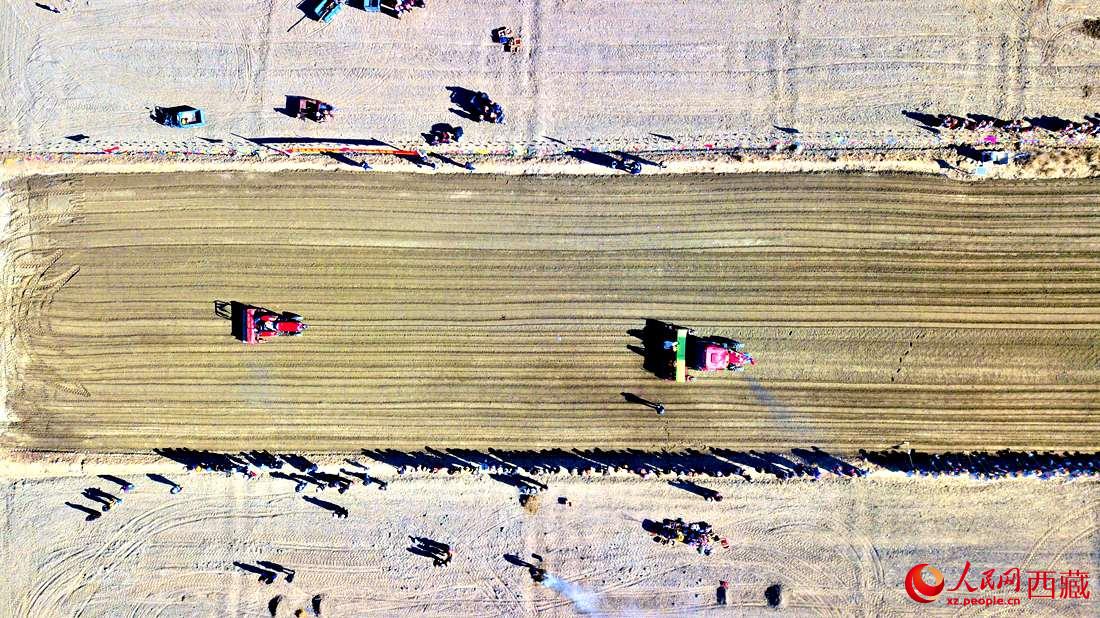 山南市扎囊縣扎其鄉(xiāng)孟卡榮村迎來春耕第一犁。人民網(wǎng) 次仁羅布攝