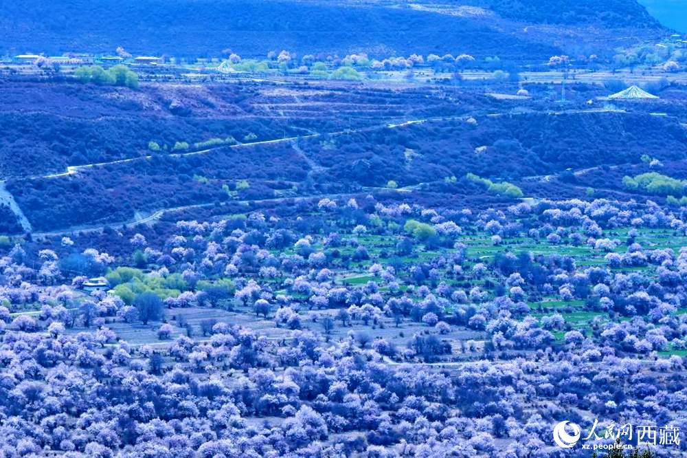 遠(yuǎn)眺“桃花村”。人民網(wǎng) 李海霞攝