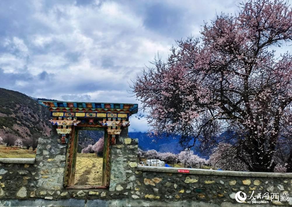 桃花下的藏式民居。人民網(wǎng) 李海霞攝