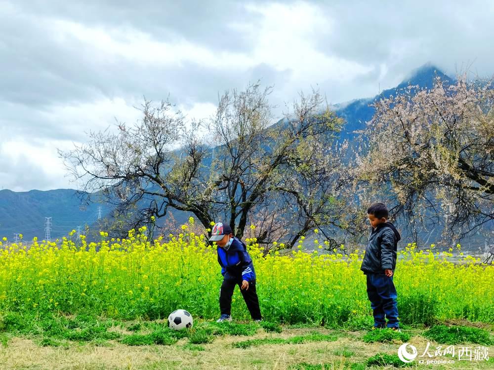 孩童在桃花下嬉戲。人民網(wǎng) 李海霞攝