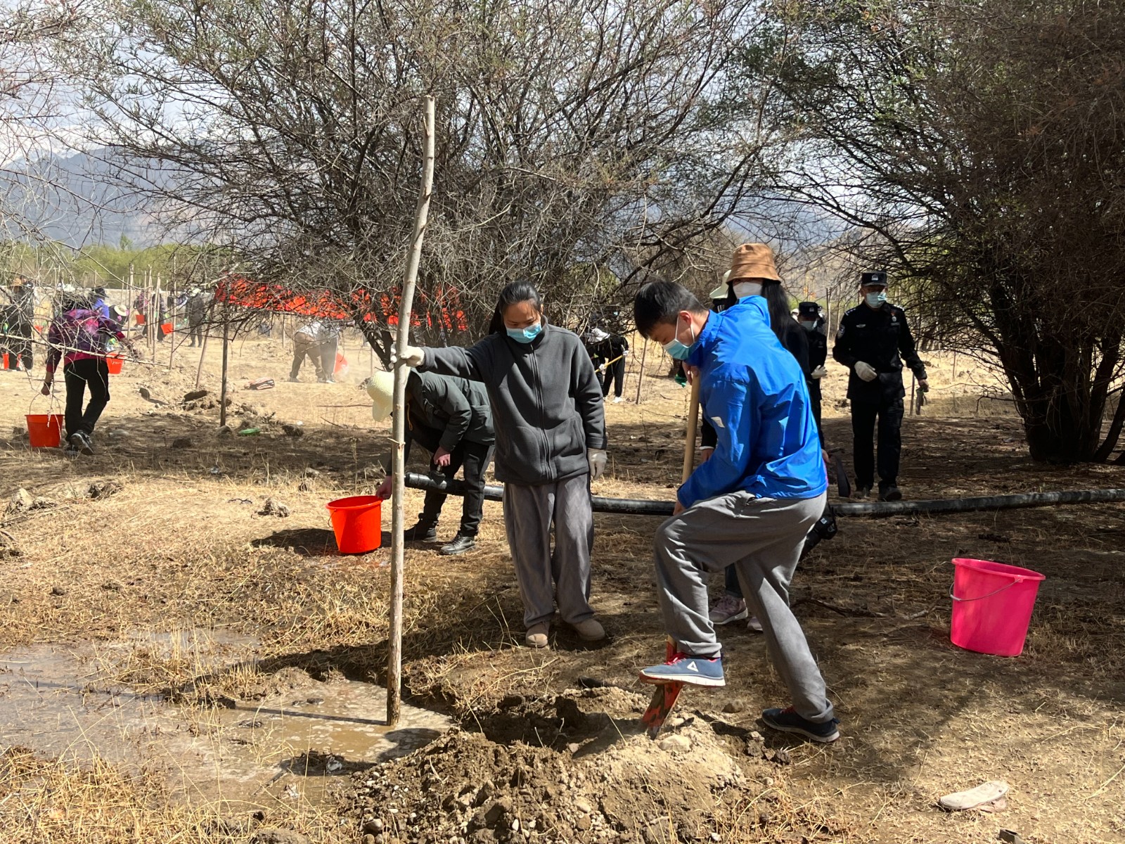 植樹現(xiàn)場(chǎng)，大家分工明確，配合默契(2000565)-20220420090303.jpg