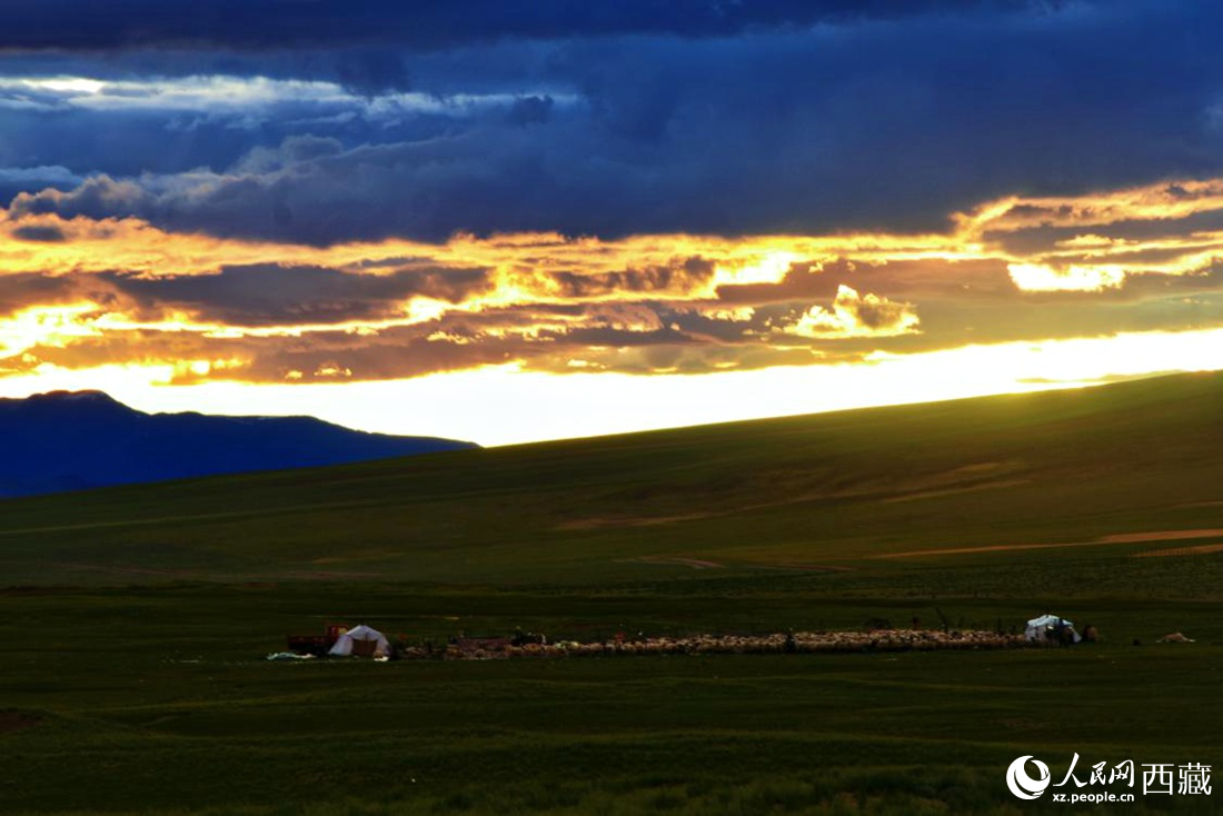 黃昏下的帳篷，牧民過著幸福生活。 人民網(wǎng) 李海霞攝