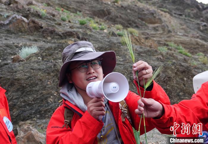 青藏科考：青稞如何走上青藏高原？