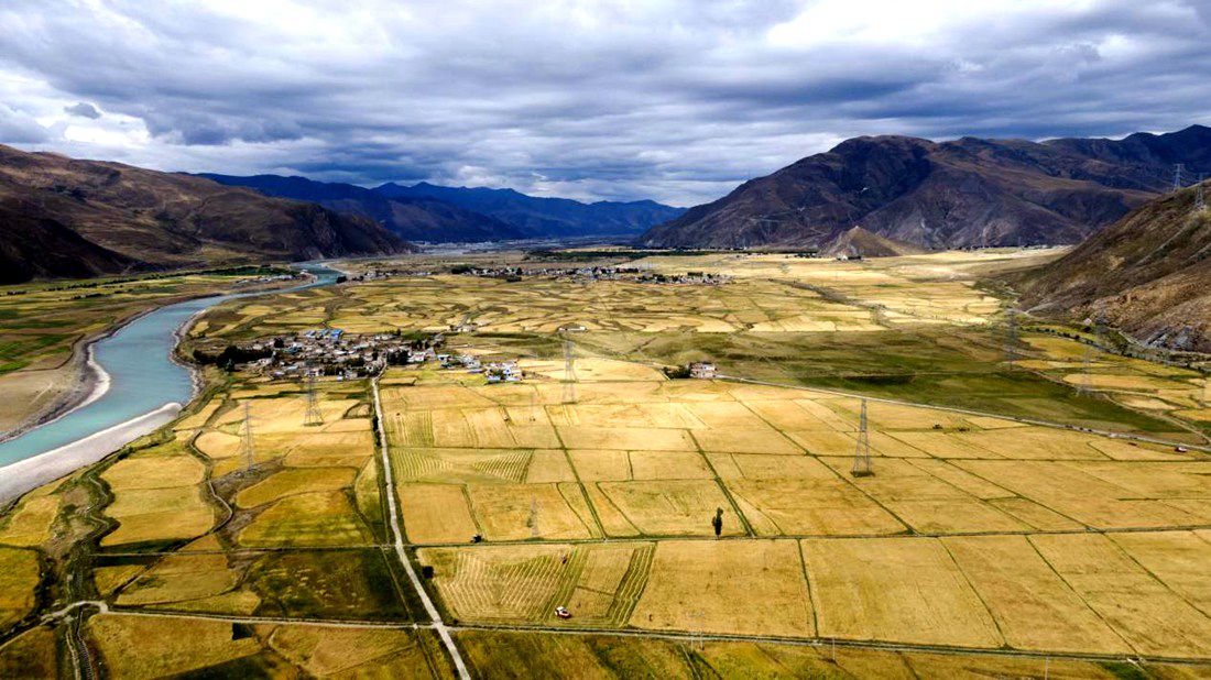 等待豐收的田野。洛克攝