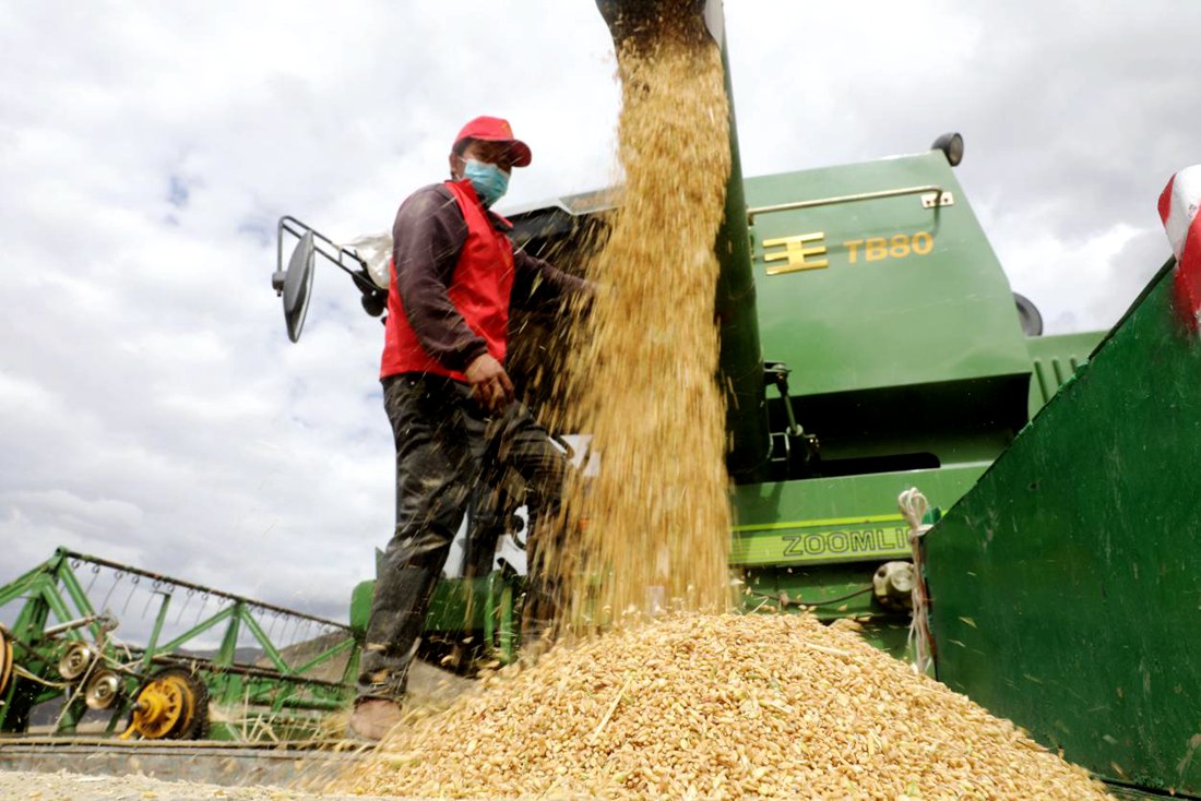 顆粒歸倉。洛克攝