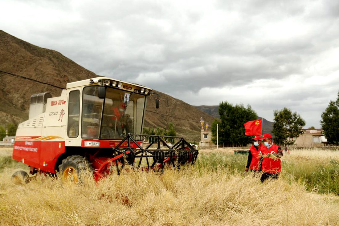 陣陣機(jī)械的轟鳴聲傳來豐收的喜悅。洛克攝