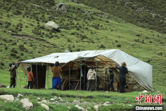 圖為牧民們在秋季牧場搭建帳篷。　洛克 攝