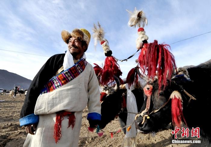 資料圖為2013年3月16日，拉薩市堆龍德慶區(qū)德慶村的農(nóng)民牽著牦牛參加春耕儀式，按照傳統(tǒng)方式由牦牛開(kāi)第一犁。 <a target='_blank' href='/'><p  align=