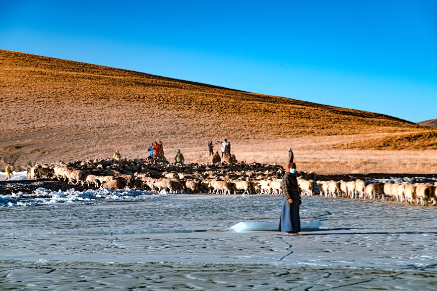 牧民趕著羊群，準(zhǔn)備通過(guò)冰面。 覃穎華攝