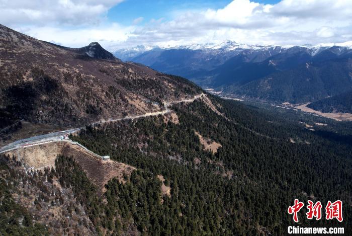 2月17日，西藏林芝魯朗林海。(無人機照片) 李林 攝