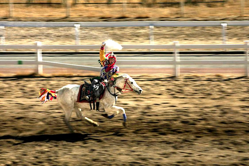 藏歷新年，精彩的馬術(shù)表演。張靜攝