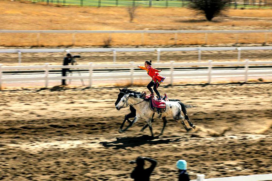 藏歷新年，精彩的馬術(shù)表演。張靜攝