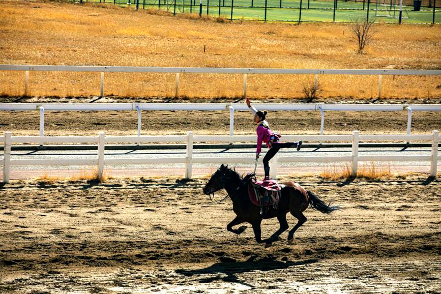 藏歷新年，精彩的馬術(shù)表演。張靜攝