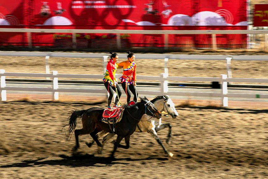 藏歷新年，精彩的馬術(shù)表演。張靜攝