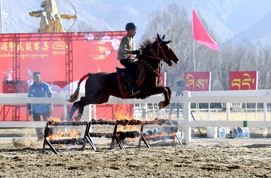 藏歷新年，精彩的馬術(shù)表演。潘多攝
