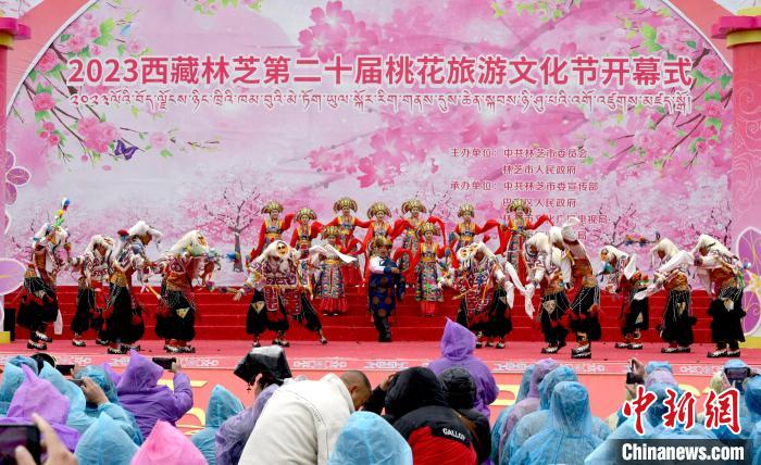 3月28日，西藏林芝第二十屆桃花旅游文化節(jié)開幕式上的文藝表演?！±盍?攝