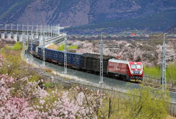 人間桃花源！林芝桃花有多絕？