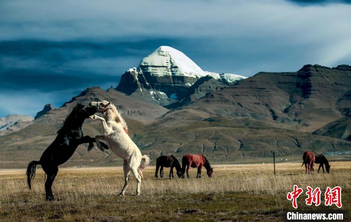 圖為參展攝影師拍攝的西藏阿里岡仁波齊?！≈鬓k方 供圖