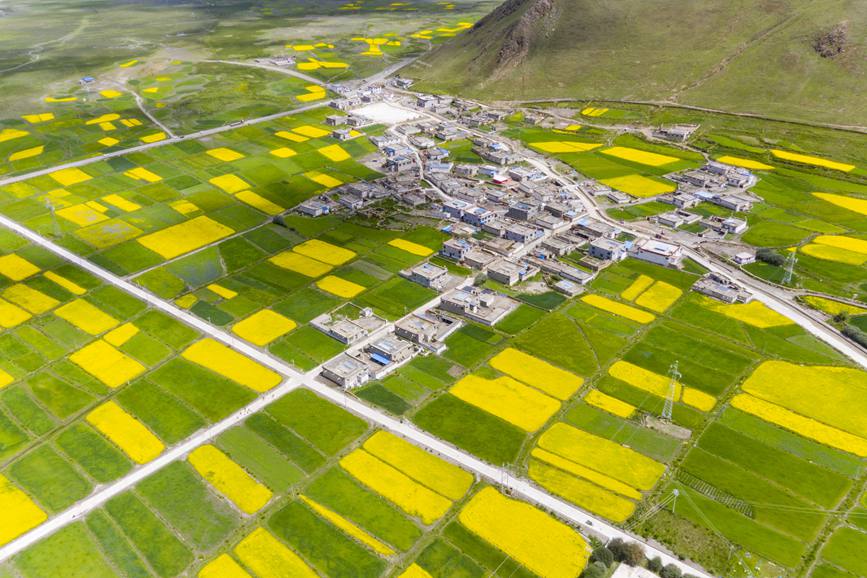 航拍道布龍村，依山傍水，阡陌縱橫。