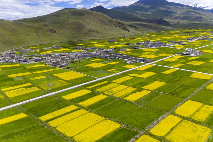 航拍道布龍村，依山傍水，阡陌縱橫。