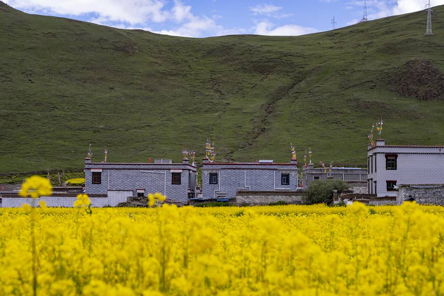 環(huán)境優(yōu)美的道布龍村一角。