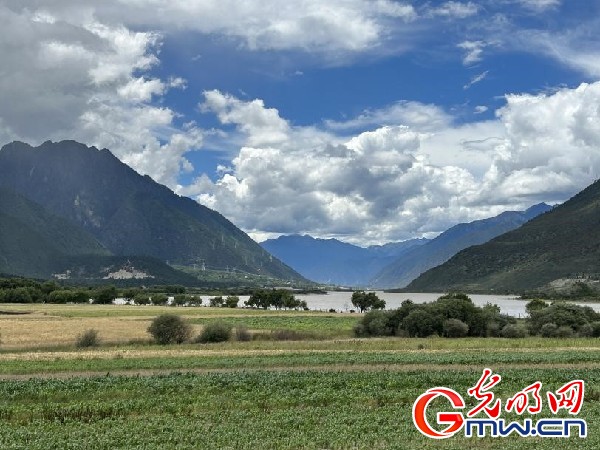 我們的家園｜林芝米林縣：河長護(hù)藥洲，碧水映花谷