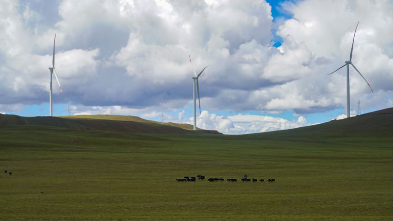 西藏措美哲古風(fēng)電場首批3.6兆瓦風(fēng)電機組并網(wǎng)發(fā)電。受訪者供圖