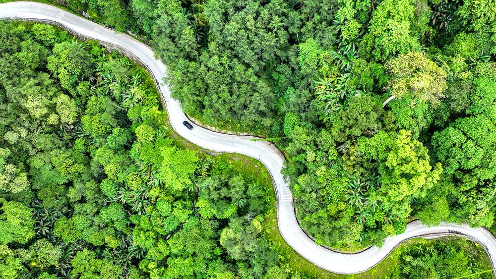 穿行于綠色間，生態(tài)優(yōu)良。張澤坤攝