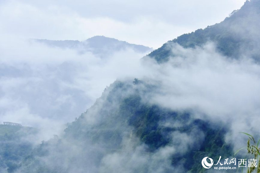 秋日里的墨脫云海。人民網(wǎng) 李海霞攝