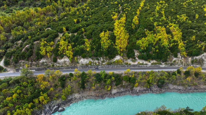 去往墨脫的路上，秋色正明。張澤坤攝