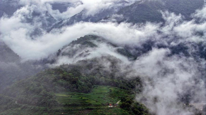 秋日里的墨脫云海。張澤坤攝