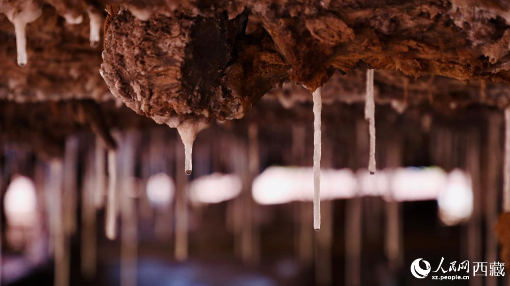 自然滲下的鹽柱結(jié)晶。人民網(wǎng)記者 次仁羅布攝