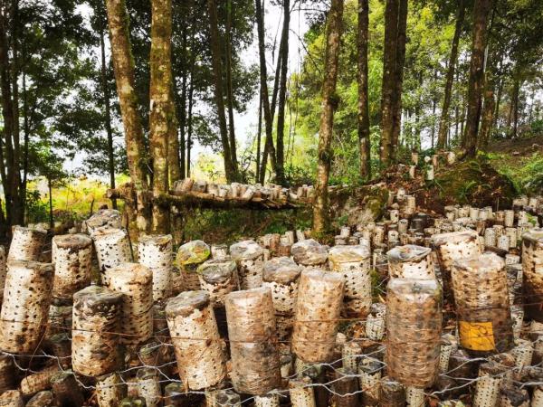 幾代建設(shè)者，歷經(jīng)半個(gè)多世紀(jì)完成！這是一條怎樣的公路？