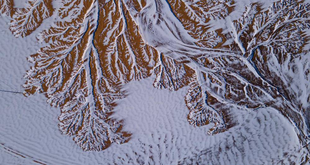 栩栩如生的枝干。邊巴多吉攝