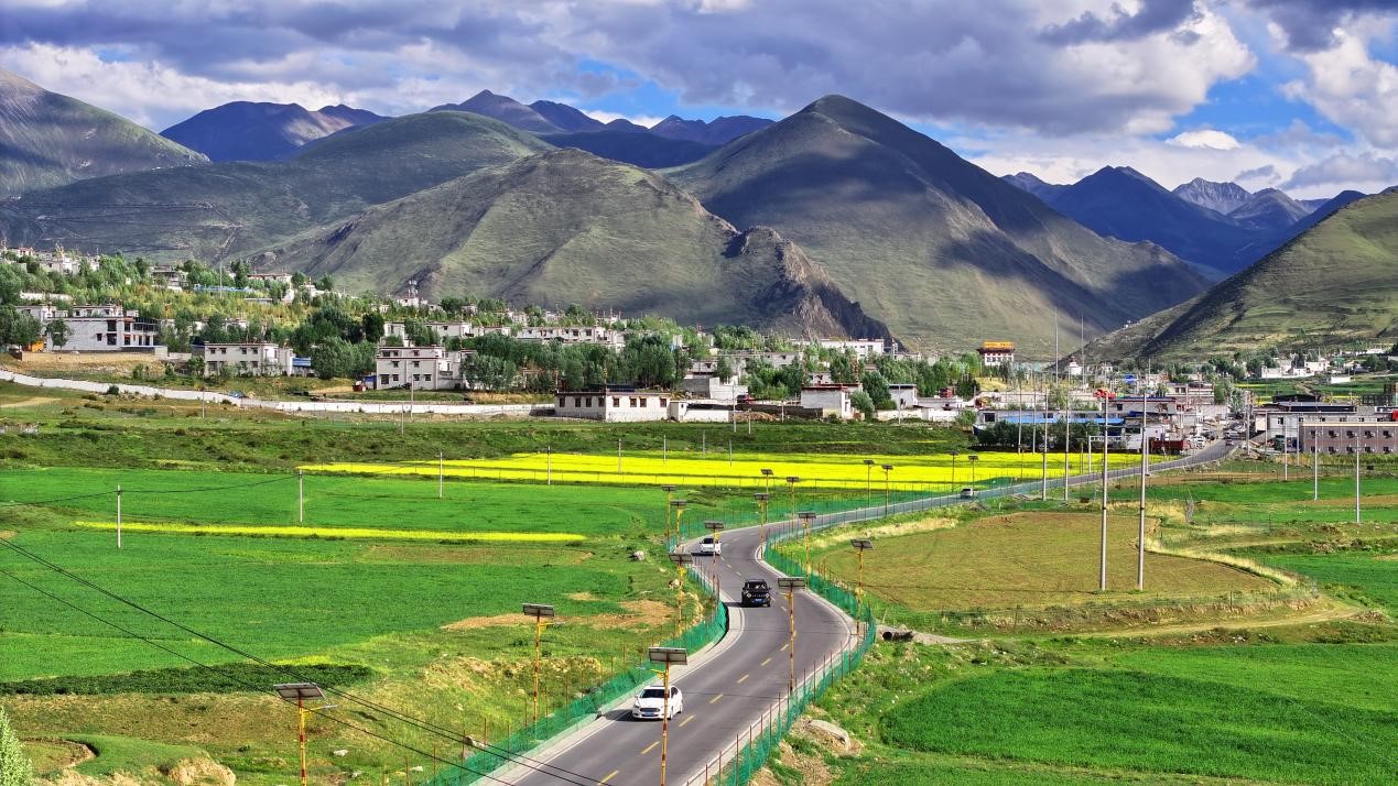 油菜花開“金”滿地。墨竹工卡縣委宣傳部 洛克攝