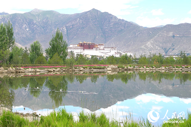 雄偉的布達拉宮與綠意蔥蘢的南山隔河相望。人民網(wǎng)記者 劉凡攝