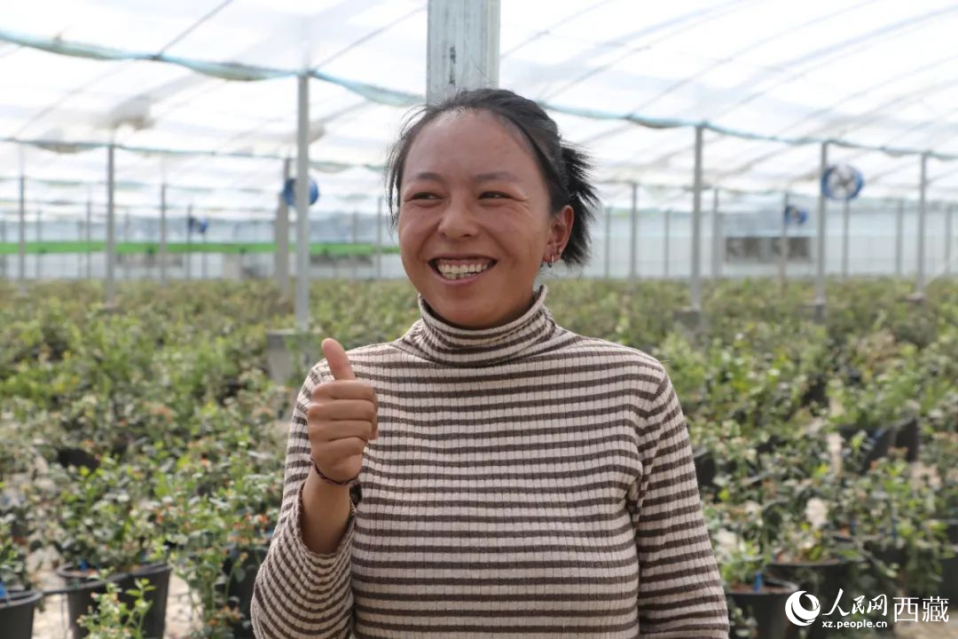 措姆品嘗自己精心照料的藍莓后，豎起了大拇指。次仁龍布攝