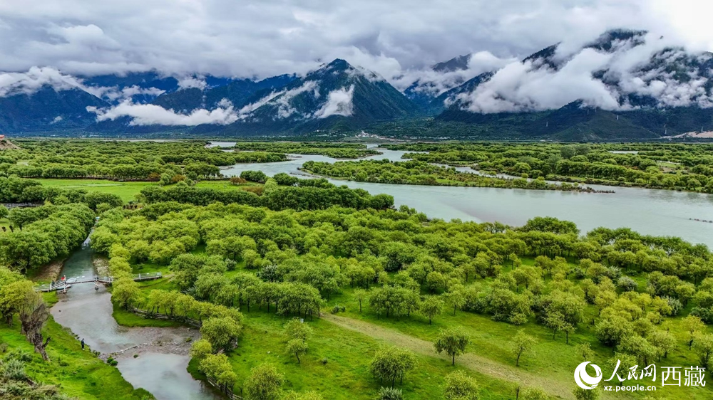 鳥瞰盛夏季節(jié)的雅尼濕地風(fēng)光。人民網(wǎng)記者 次仁羅布攝