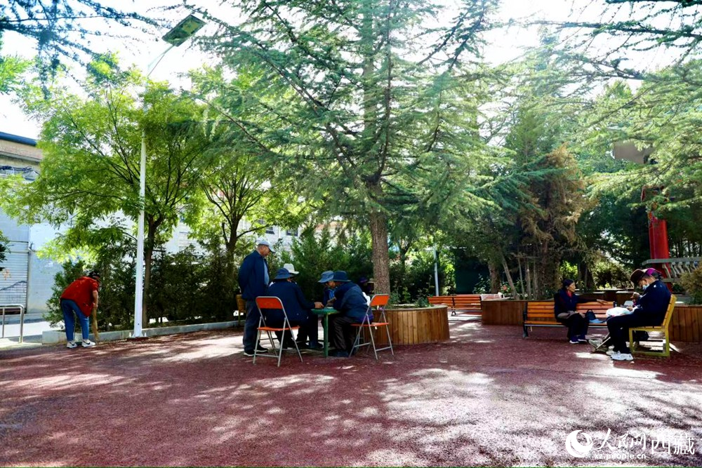 老人們在綠樹成蔭的“社區(qū)會客廳”中對弈休憩。人民網(wǎng)記者 次仁羅布攝