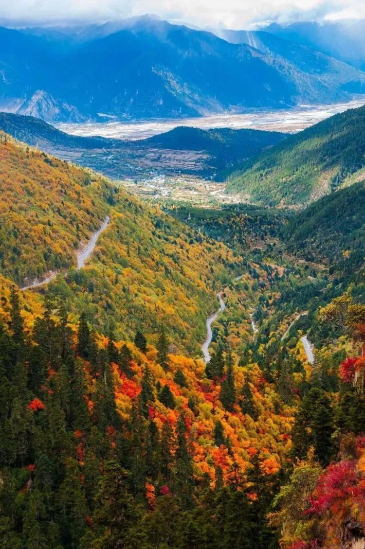 懂西藏的人，一定不會錯過林芝的秋天