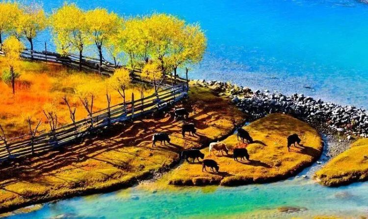 懂西藏的人，一定不會錯過林芝的秋天