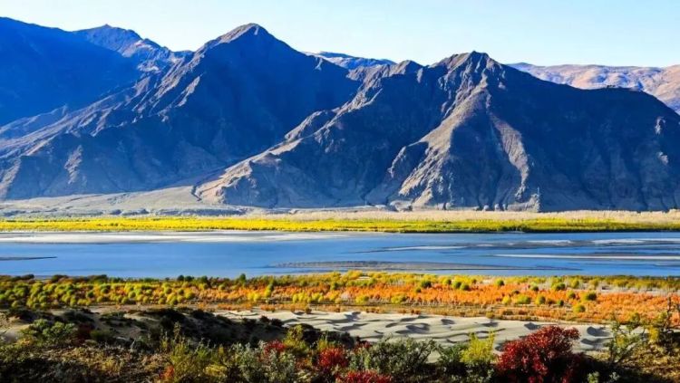 懂西藏的人，一定不會錯過林芝的秋天