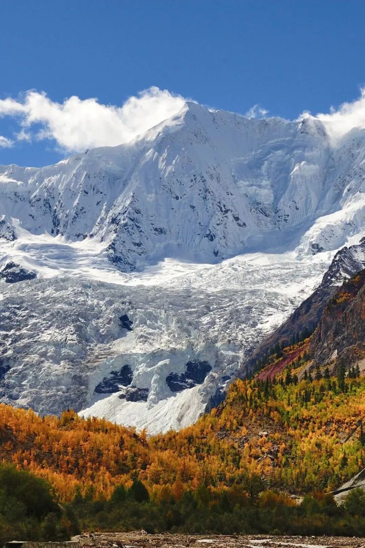 懂西藏的人，一定不會錯過林芝的秋天