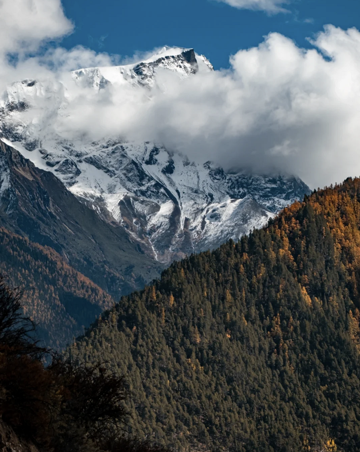 懂西藏的人，一定不會錯過林芝的秋天