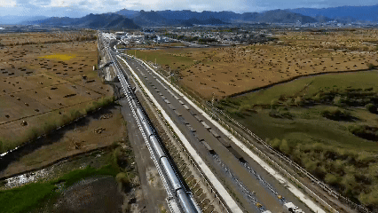 青稞“蛻變”，牦牛“出圈”！看西藏農(nóng)牧民的“十四五”豐收答卷