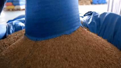 青稞“蛻變”，牦?！俺鋈Α保】次鞑剞r(nóng)牧民的“十四五”豐收答卷