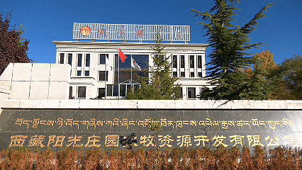 青稞“蛻變”，牦牛“出圈”！看西藏農(nóng)牧民的“十四五”豐收答卷