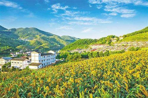 【理上網(wǎng)來o輝煌十九大】鄉(xiāng)村振興戰(zhàn)略：更綜合、全面、系統(tǒng)的發(fā)展戰(zhàn)略